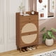 thumbnail image 2 of Rattan, Allen 2 Door 1 Drawer Cabinet, Shoe Rack, Double Layer, Suitable for Entrance, 2 of 3