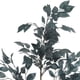 thumbnail image 3 of Rama Decorativa Eucalipto Azul 105 Cms., 3 of 4