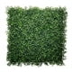 thumbnail image 1 of Jardin Vertical Cochamo, 1 of 3