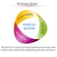 thumbnail image 2 of Perfume Zoha Vanilla Bloom sin alcohol de 9 ml para mujeres y hombres, 2 of 5
