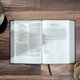thumbnail image 2 of Piel regenerada negra con estampado Super Giant de Bible B&H Espanol NVI, 2 of 4