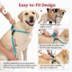 thumbnail image 3 of Harness Lead No Pull Dog Harness and Leash Set, Anti Pull Dog Harness, 3 of 3