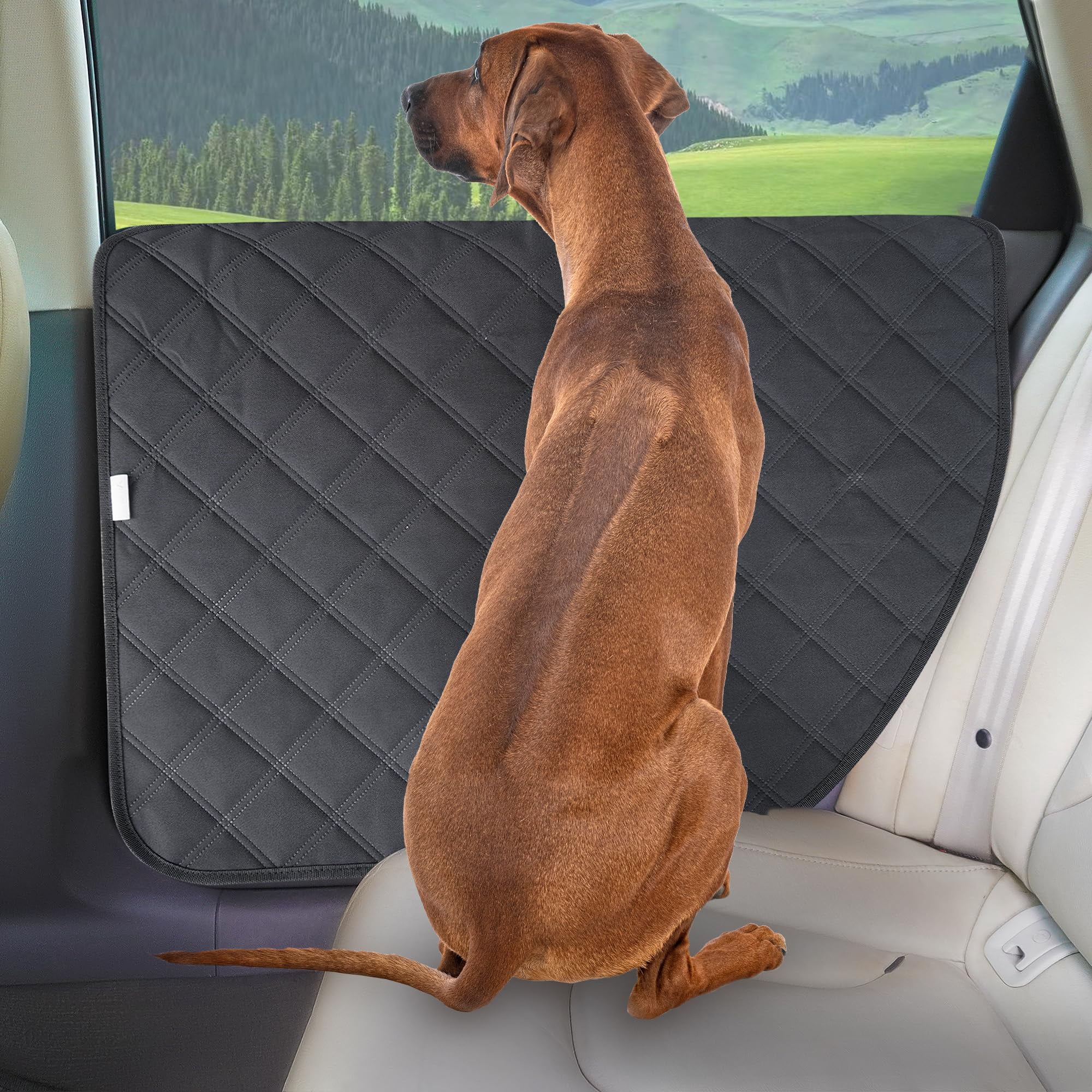 Protector Para Puerta De Coche Y Perro Allansing, Impermeable, 900d, Oxford