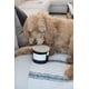 thumbnail image 4 of Neutralizador Candle Sand + Fog California Beach House, 340 ml, 4 of 9