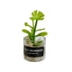 thumbnail image 1 of Mini Juguetes Para Casa De Mu?ecas Modelo De Paisaje Estático Modelado Mini Plantas Artificiales Estilo H, 1 of 5