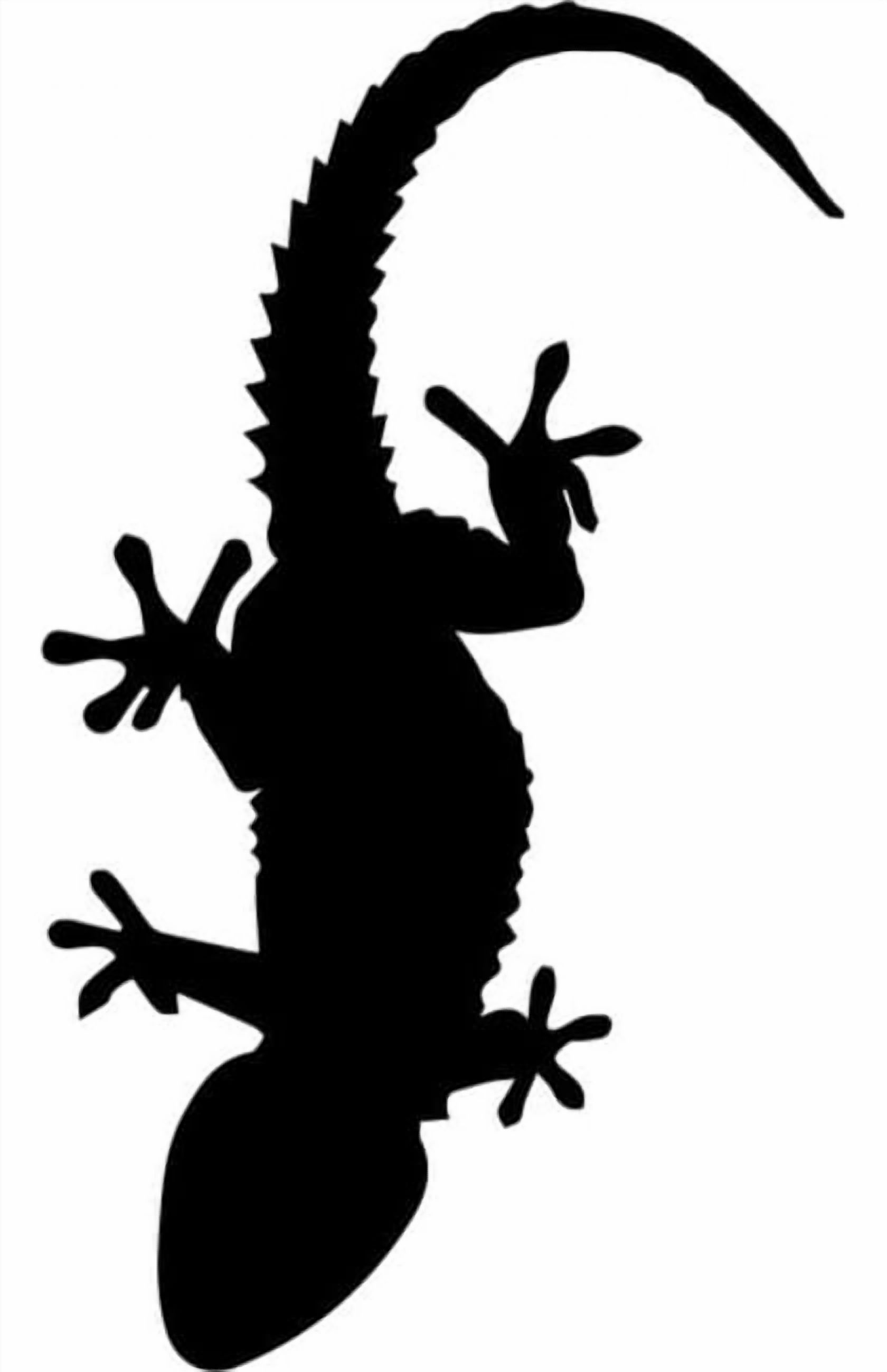 Rienda Libre Graphics - Decomural Gecko Reptiles Lizard Ws-32735