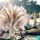 thumbnail image 3 of Pampas secas 90 uds plantas decorativas, 3 of 3