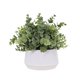 thumbnail image 1 of Planta artificial de eucalipto 365 BLOOMING DECOR INC. con maceta blanca de 26 cm, 1 of 7