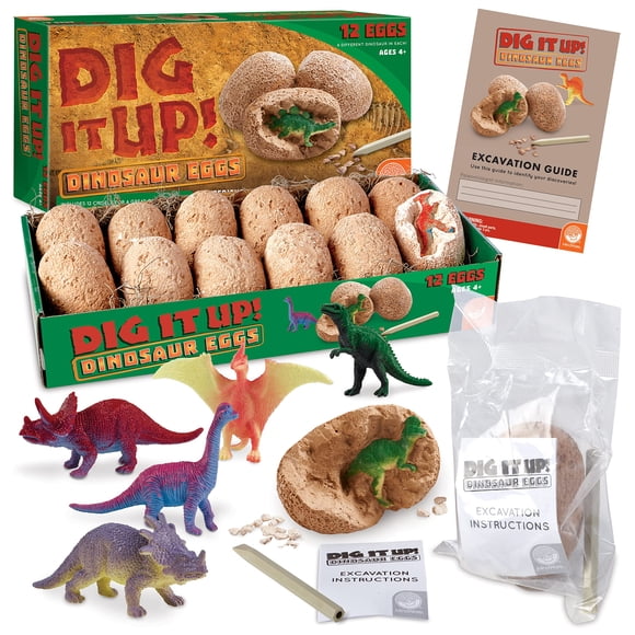 Kit de Excavación de Huevos de Dinosaurio MindWare 12 Huevos Edades 4+