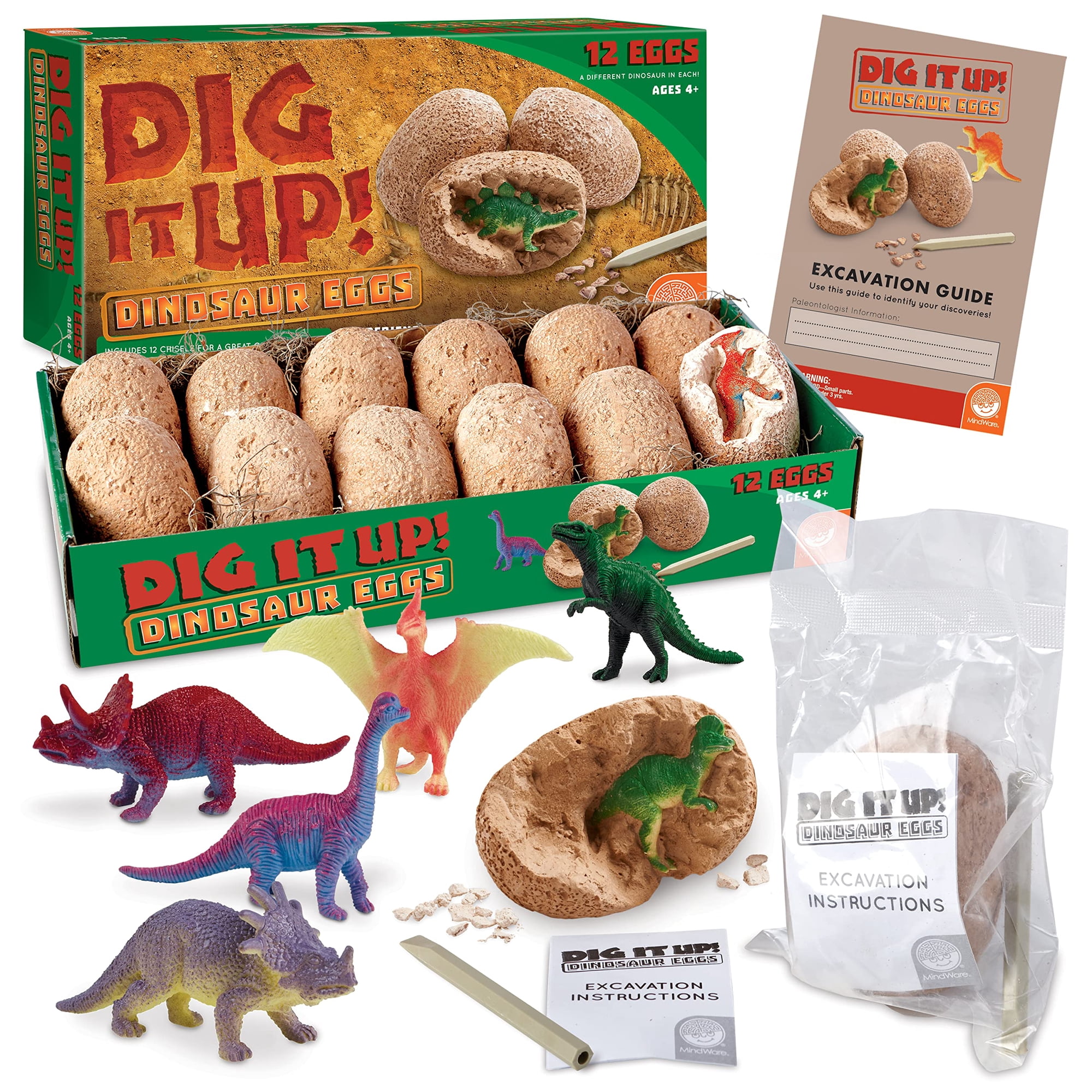 Kit De Excavación De Huevos De Dinosaurio Mindware 12 Huevos Edades 4+