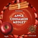 thumbnail image 4 of Recarga de aceite perfumado para enchufe Air Wick Apple Cinnamon 6 unidades, 4 of 9