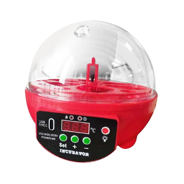 automática de huevos para 6 huevos, escotillas digitales para aves de corral Control automático de temperatura para incubar pollos de , ROJO
