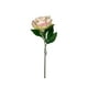 thumbnail image 1 of Peonia Damasco/rosa 45cm Con Acabado Natural, 1 of 3