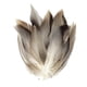 thumbnail image 1 of 50 Uds. de plumas para atado de moscas, plumas para atado de moscas, Material de cola de ala, proveedor de atado de moscas para decoración, sombrero d, 1 of 5