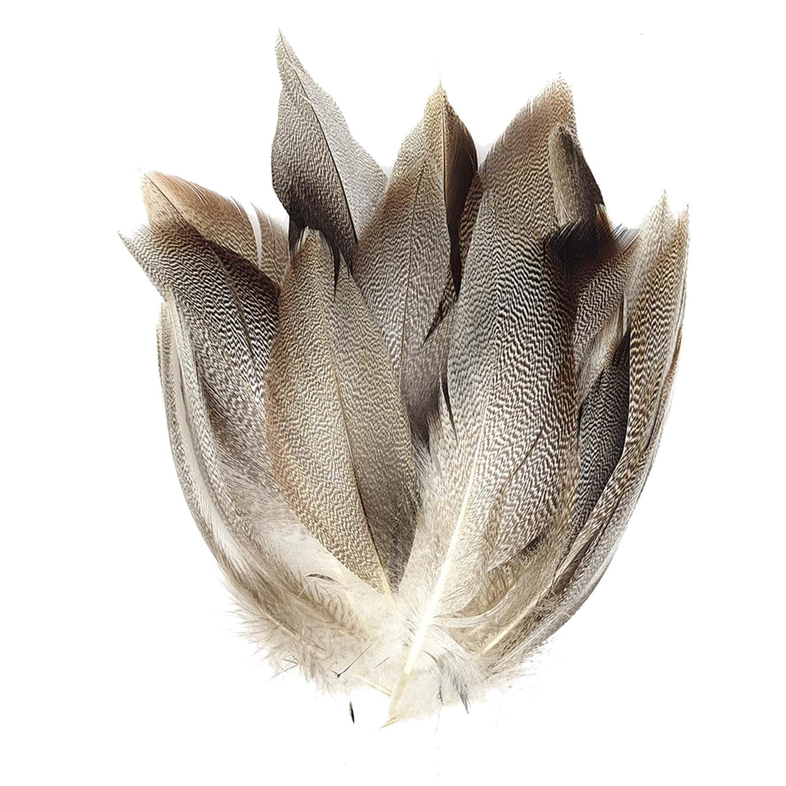 Magideal - 50 Uds. De Plumas Para Atado De Moscas, Plumas Para Atado De Moscas, Material De Cola De Ala, Proveedor De Atado De Moscas Para Decoración, Sombrero D