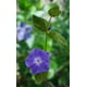 thumbnail image 1 of Prueba creacion wcp1, 1 of 1