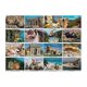 thumbnail image 2 of Puzzle Galison Vacation Cats de 1500 piezas con lugares famosos, 2 of 9