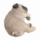 thumbnail image 2 of Figuine Hi-Line Gift Ltd. Pug Dreamland, poliresina marrón, 2 of 5