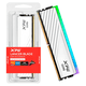thumbnail image 2 of Memoria RAM XPG Lancer Blade RGB White 16GB DDR5 6000MHz DIMM, 2 of 3