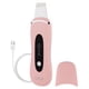 thumbnail image 1 of Espátula facial Spa Sciences LELA 4 en 1 con tecnología iónica, 1 of 9