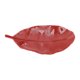 thumbnail image 3 of Bargains Únicos 1 Pc Jabón Plato Hoja Soporte para Jabón para Baño Rojo, 3 of 6