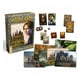thumbnail image 2 of Avalon: La Resistencia, 2 of 2
