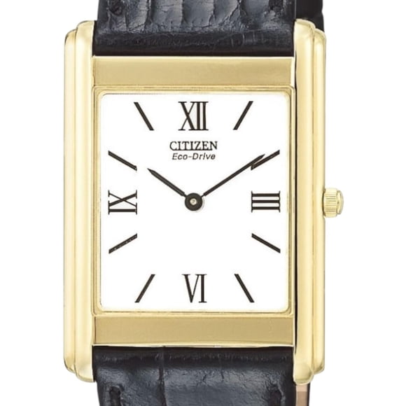 Reloj Citizen Hombre AR1002-05A
