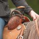 thumbnail image 2 of Pestillo Nocturno de Cuero Color Chocolate - Martin Saddlery, 2 of 3