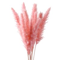 Bothyi - 15X Boda De Caña De Fragmitas De Hierba De Pampa Seca Artificial