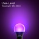 thumbnail image 3 of Bombilla Wiyifada A19 9W Luz Negra UV 120V E26, 3 of 7