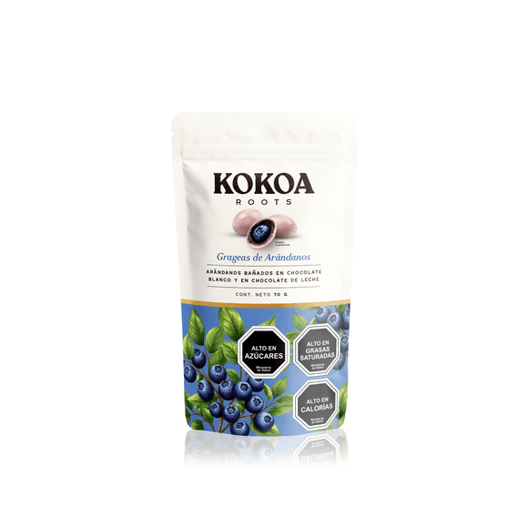 Chocolate KOKOA ROOTS Arandanos 70g