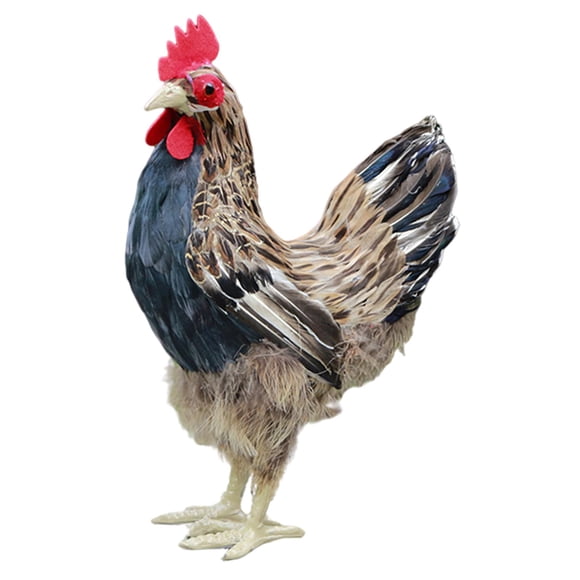 Modelo De Gallina Realista Estatua De Pollo Realista Estatuilla De Animal Realista M