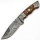 thumbnail image 1 of Cuchillo PAL 2000 HUNTING KNIVES 20 cm con mango de madera de rosa, 1 of 8