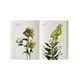 thumbnail image 4 of Guía cromática floral, 4 of 11