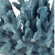 thumbnail image 3 of Decoración de mesa Benzara Pax 10, poliresina, coral sintético, azul, 3 of 5