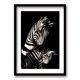 thumbnail image 1 of Cuadro Zebra B/N 40x30cms, 1 of 1