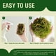 thumbnail image 3 of Musgo seco Garden Story Forest Moss 250 ml para plantas de interior, 3 of 3