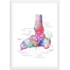 thumbnail image 3 of Cuadro de anatomía de los huesos del pie, lienzo para pared, póster impreso para decoración médica, clínica, educación, 40 x 60 cm, sin marco, 3 of 7