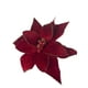 thumbnail image 2 of Poinsettia Roja Terciopelo 30cm, 2 of 3