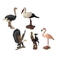thumbnail image 1 of 5 Piezas Mini Figuras De Pájaros Modelo Figuras De Pájaros Artificiales Juguetes Para Niños Estilo De Juguete C, 1 of 3