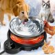 thumbnail image 1 of Cuenco de agua caliente LQTTEK para perro y gato con 3 ajustes de temperatura de 1,5 L, 1 of 8