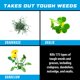 thumbnail image 2 of Herbicida Ortho GroundClear Super 1,9 L en spray, 2 of 9