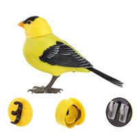 Bothyi - Jaula Para Loros Y Periquitos, Juguete Eléctrico Para Cantar Y Gorjear, Pájaro Para Niños, Jilguero Americano