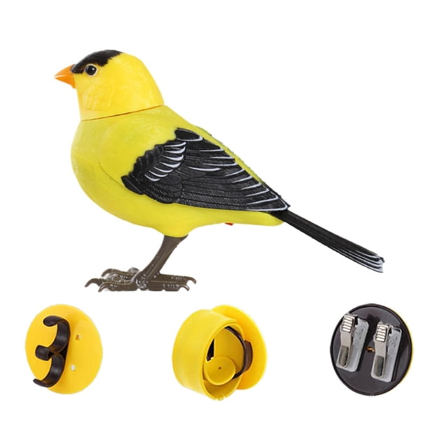 Jaula Para Loros Y Periquitos, Juguete Eléctrico Para Cantar Y Gorjear, Pájaro Para Niños, Jilguero Americano