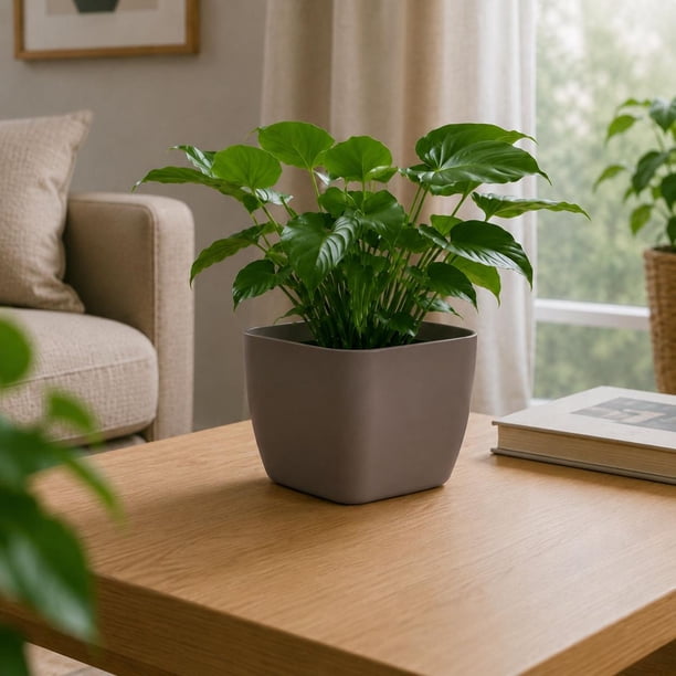 Jardinera Macetero Cuadrada Plastico 20cm Terraza Balcon cafe Talla Única