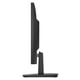 thumbnail image 5 of Monitor HP P22v G4 Full HD de 21,5", 5 of 5