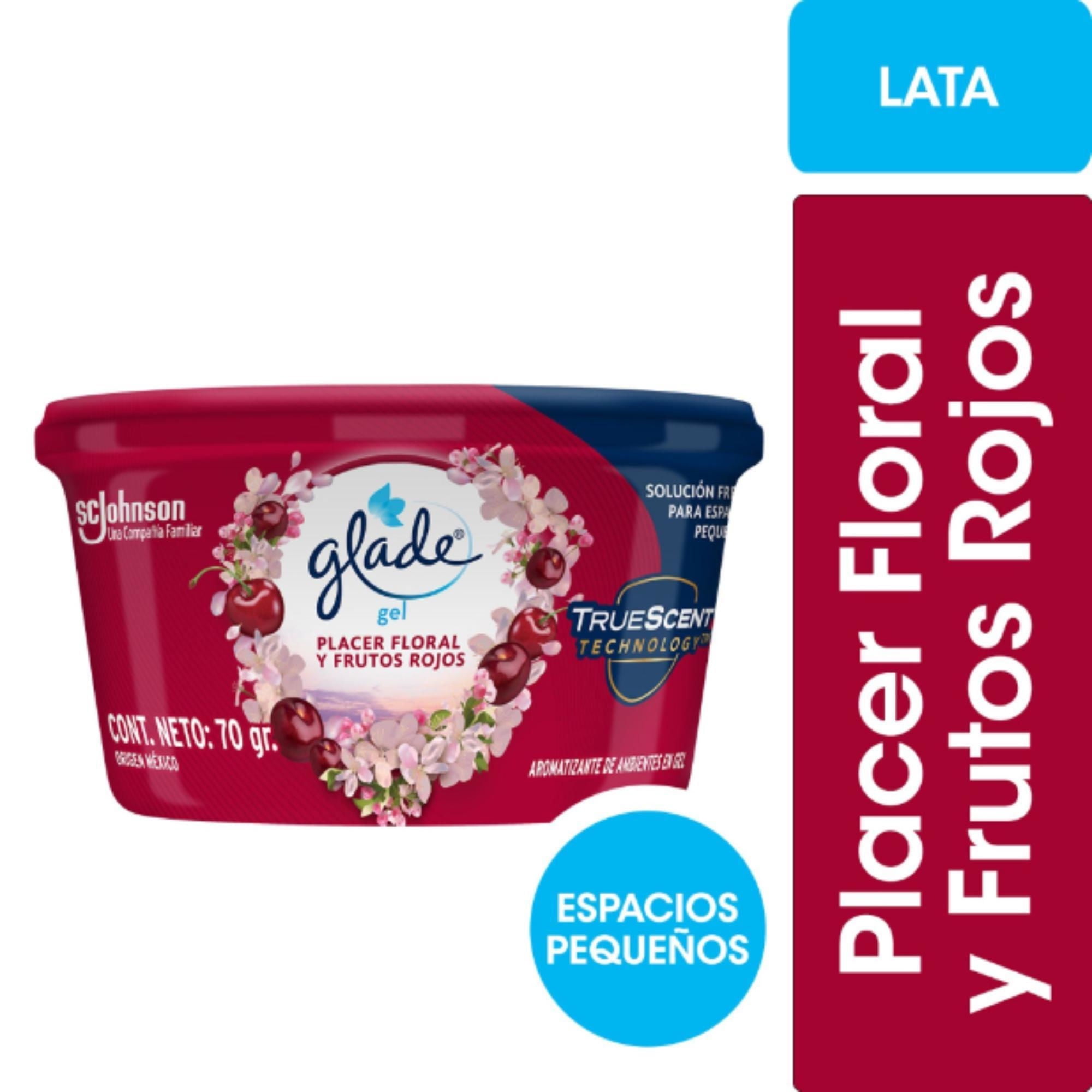 Glade - Aromatizante Ambiental Mini Gel Hogar Placer Floral Y Frutos Rojos Frasco