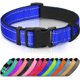 thumbnail image 1 of Collar para perro Joytale reflectante de neopreno azul talla M, 1 of 6
