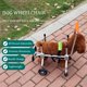 thumbnail image 2 of Silla de ruedas para perros RUIFAR de 4 ruedas ajustable (S), 2 of 9