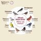 thumbnail image 5 of Comedero para pájaros Nature's Way Fly-In de metal con techo azul de 4 tazas, 5 of 6